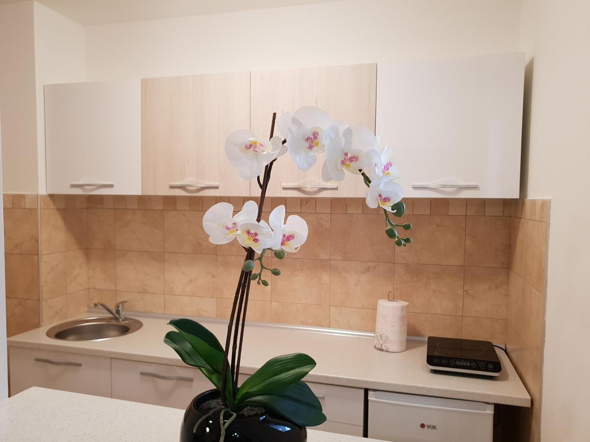 Apartman Kej Free Parking Kraljevo Exteriör bild
